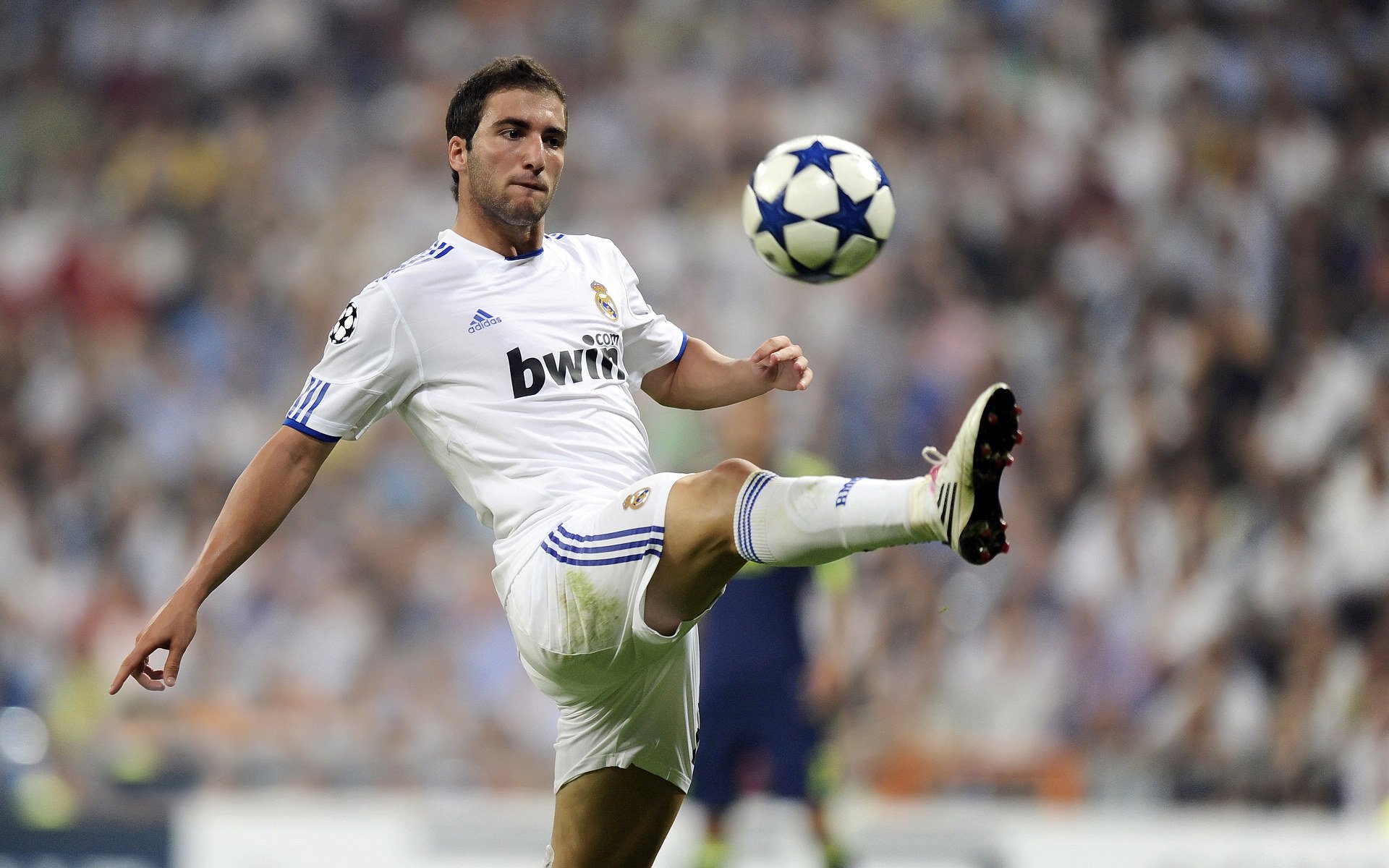 爱游戏娱乐-李钦诚在“湾区杯”围棋大棋士赛中表现抢眼，棋手李钦诚